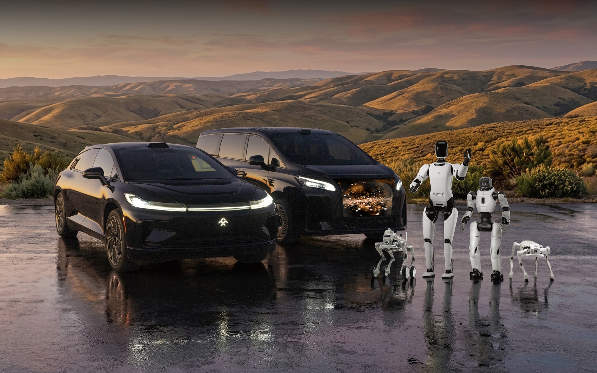 Faraday Future