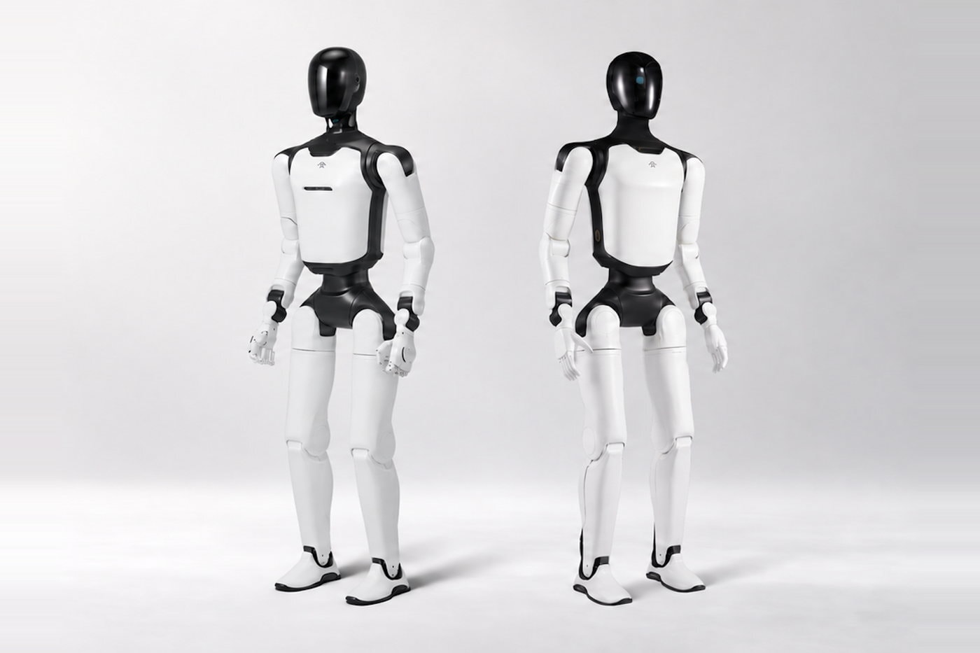 FF All-New Futurist 产品示意图
